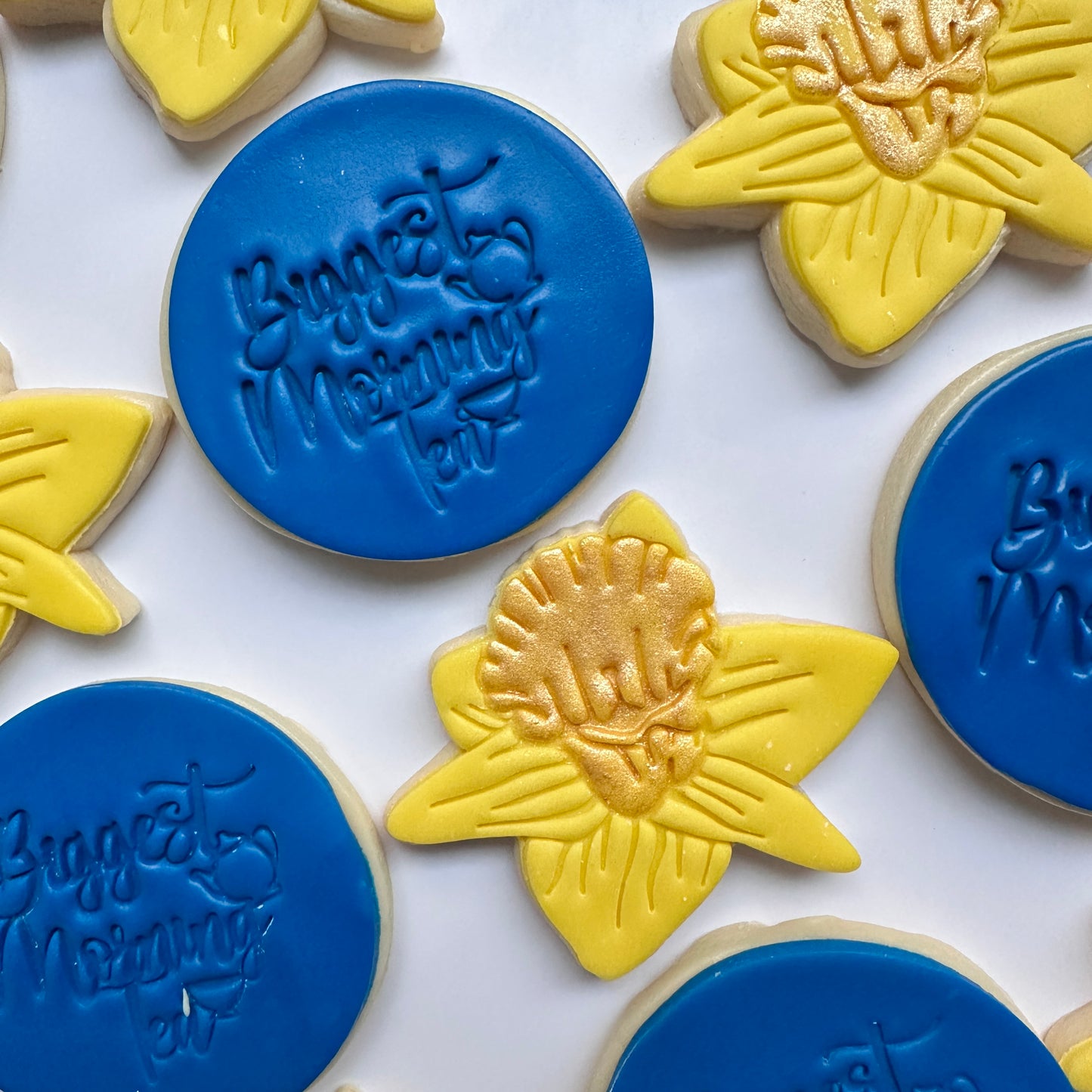 Biggest Morning Tea - Sugar Cookies
